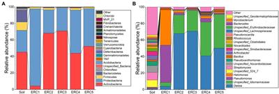 Microbial community succession during crude oil-degrading bacterial enrichment cultivation and construction of a degrading consortium